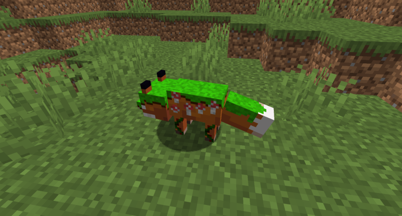 Forest Fox